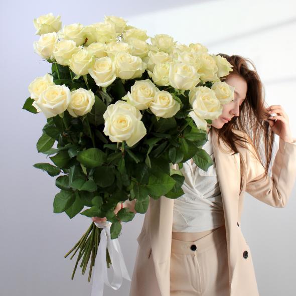 Роза Россия 60 см(белая)