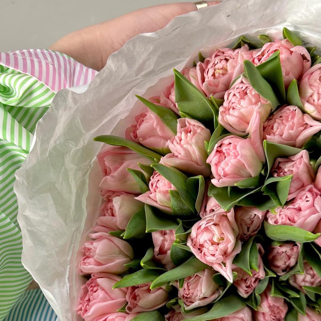 Тюльпан пионовидный