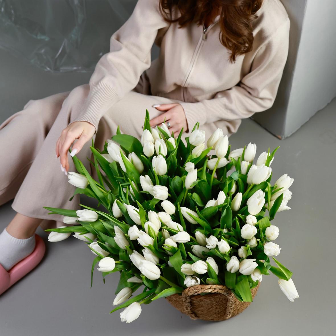 ТЮЛЬПАН РОССИЯ БЕЛЫЙ