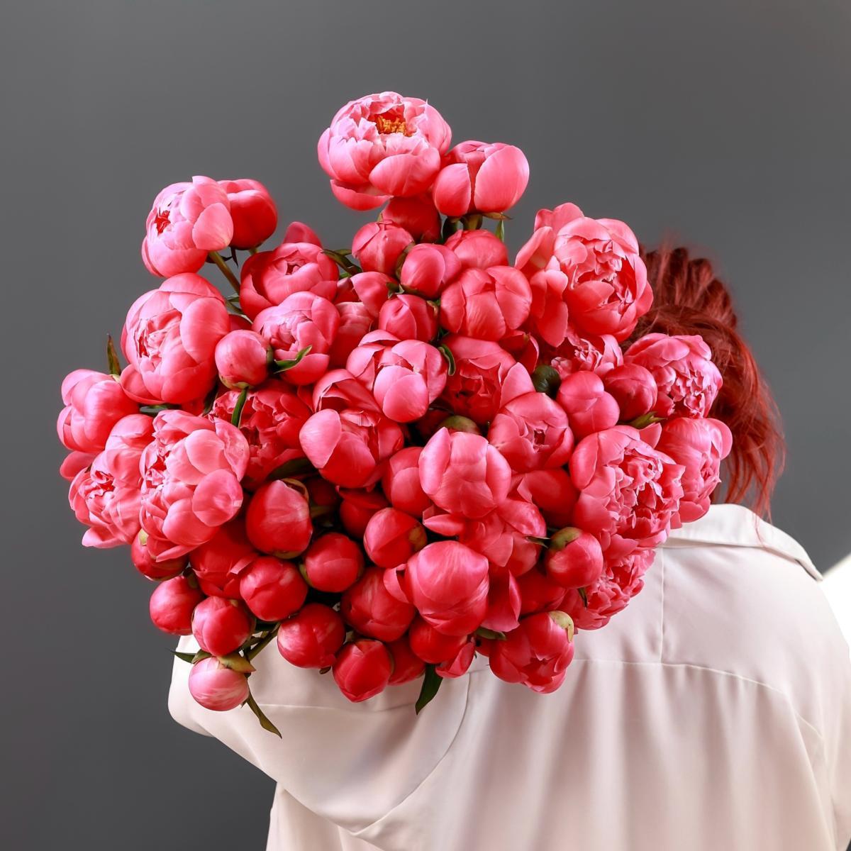 Пион Coral Сharm (цена за 1 шт)