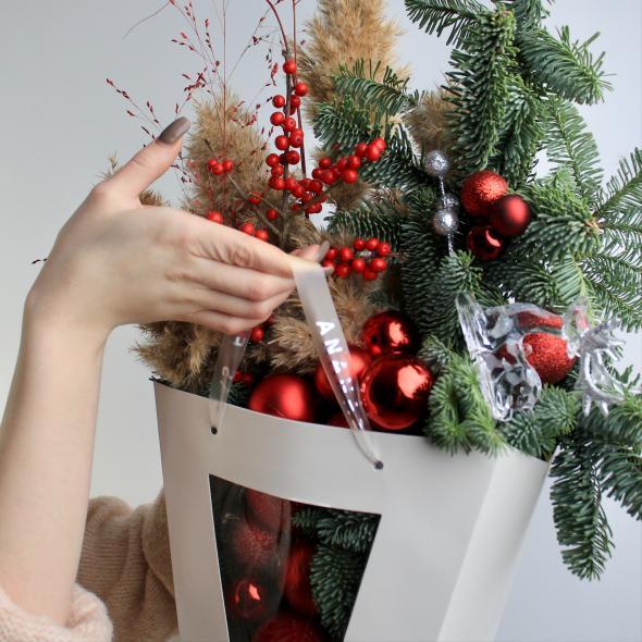 Новогодняя композиция в пакете