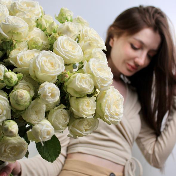 Роза кустовая пионовидная белая