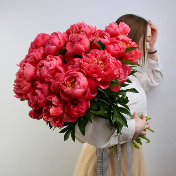 Пион Coral Сharm (цена за 1 шт)