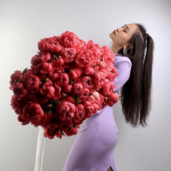 Пион Coral Сharm (цена за 1 шт)