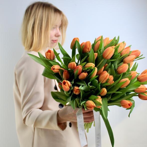 Тюльпан Голландия (рыжий)