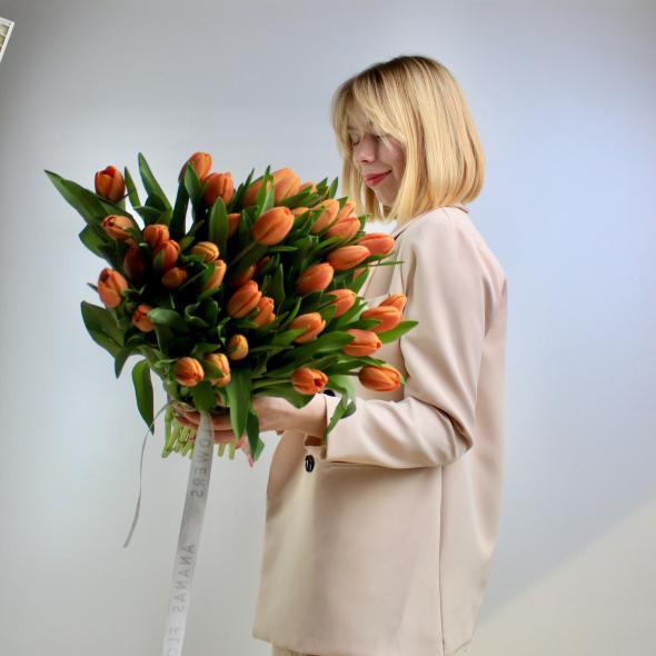 Тюльпан Голландия (рыжий)