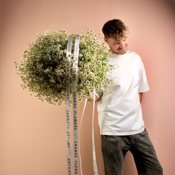 Ромашка танацетум