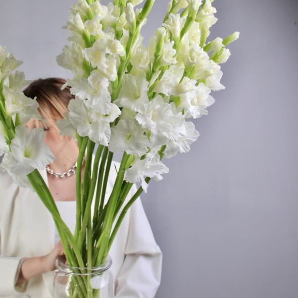 Гладиолус белый