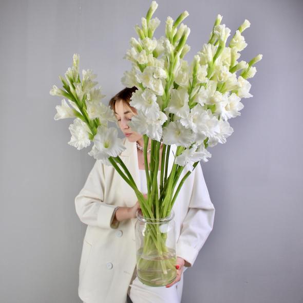 Гладиолус белый