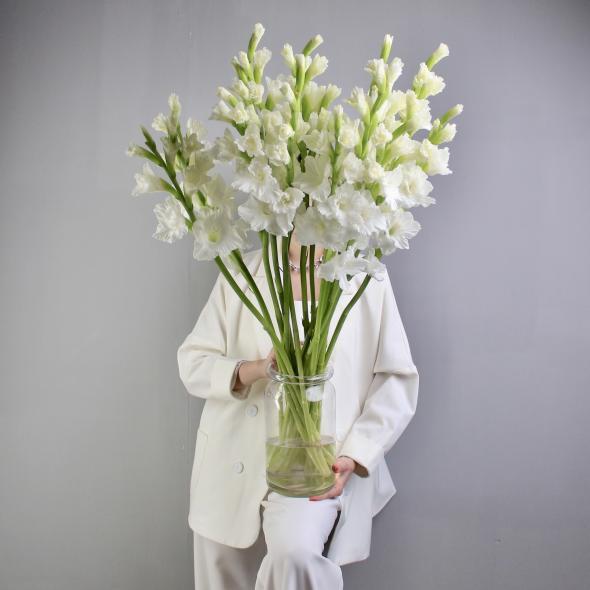 Гладиолус белый