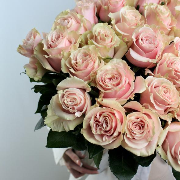 Роза Эквадор Pink Mondial 60 см