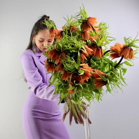 Фритиллярия