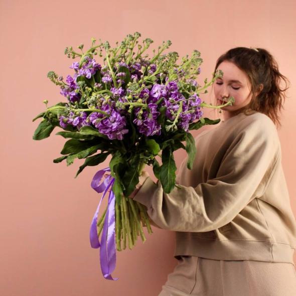 Маттиола Milka