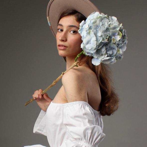 Гортензия Голландия (цена за 1 шт)