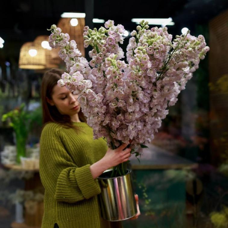 Дельфиниум