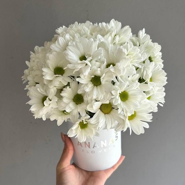 Композиция готовая №13