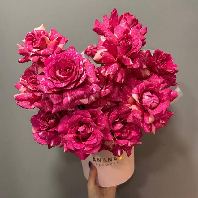 Композиция готовая №14