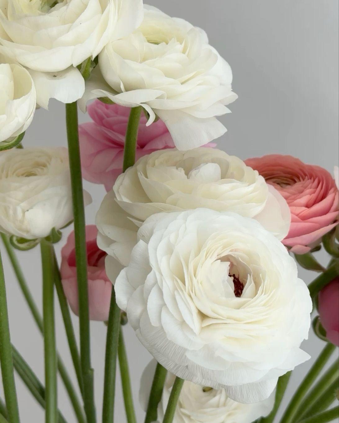 Цветочный подарок на свадьбу Егору и Виктории  1  августа 2025