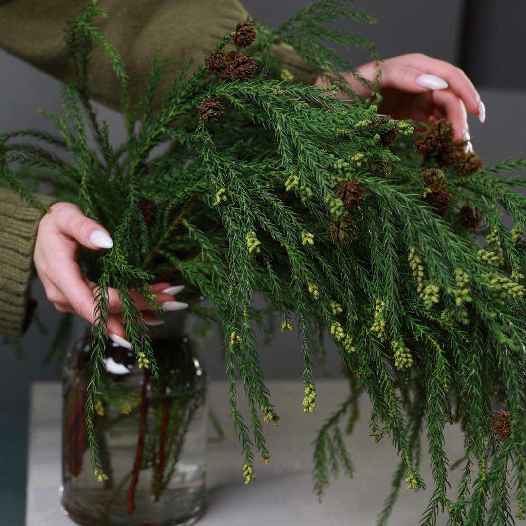 Мережка (стоимость указана за банч)