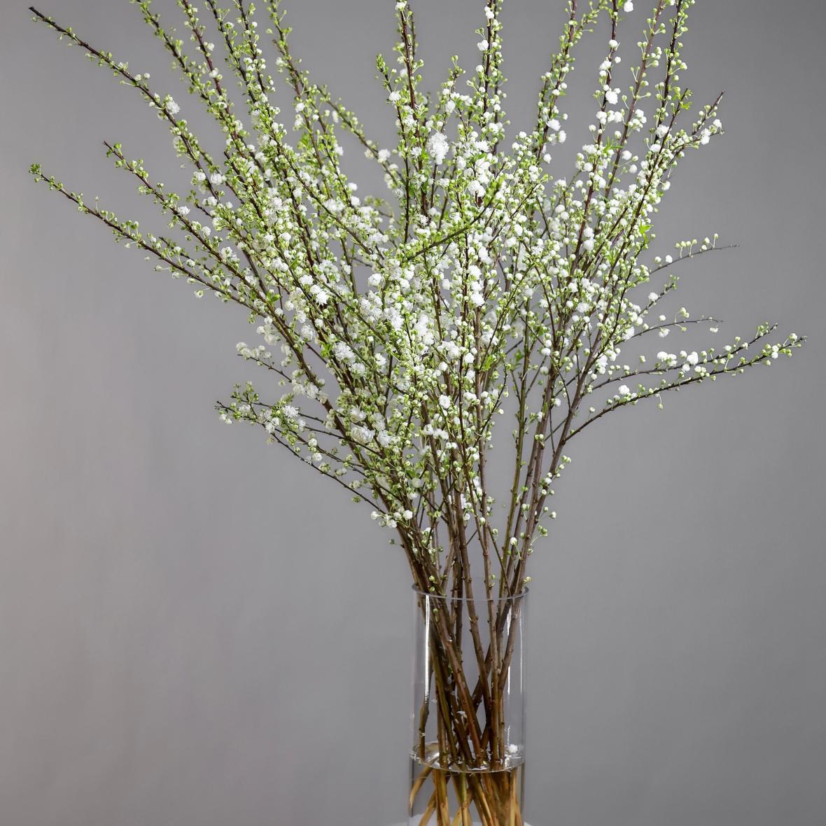 Прунус (нежно-розовый)