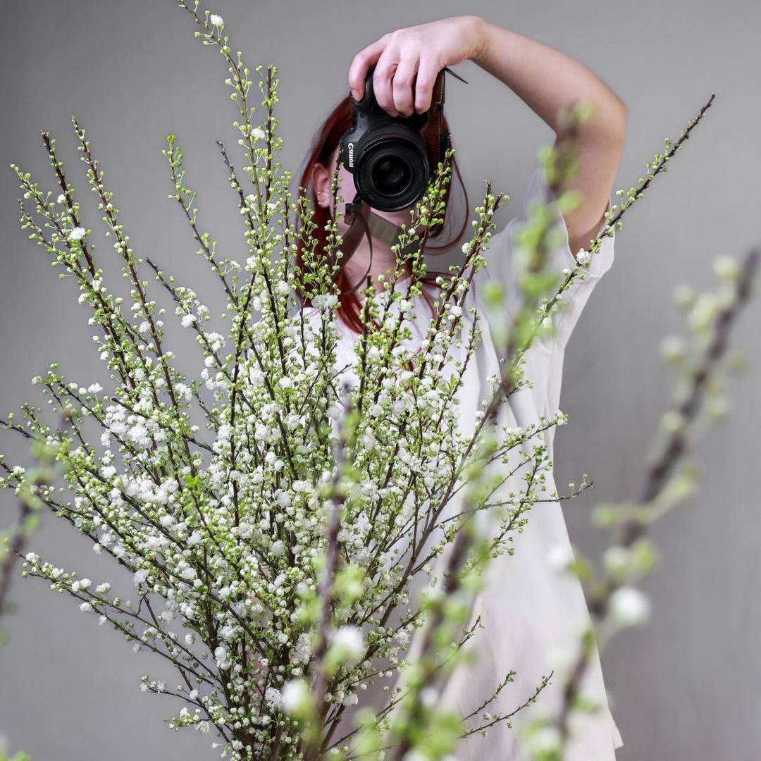 Прунус (нежно-розовый)