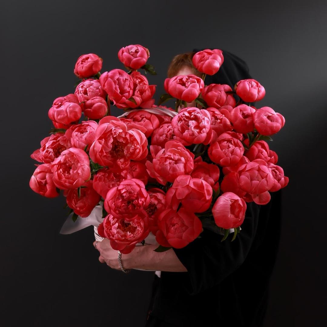 Корзина пионов сорта Coral Charm