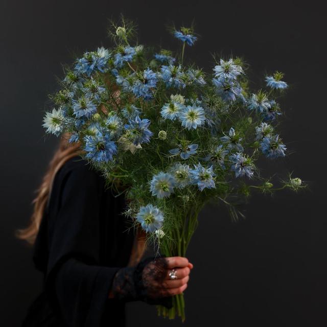 Нигелла Нигелла