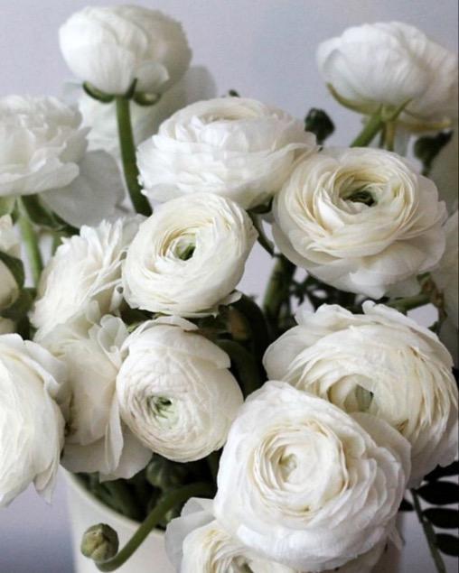 Цветочный подарок на свадьбу Константина и Марии, 6 августа