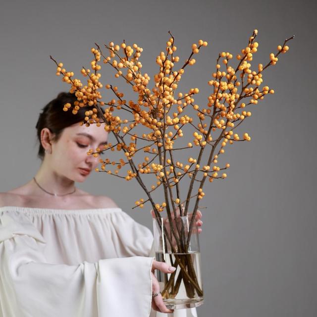 Илекс оранжевый Илекс оранжевый