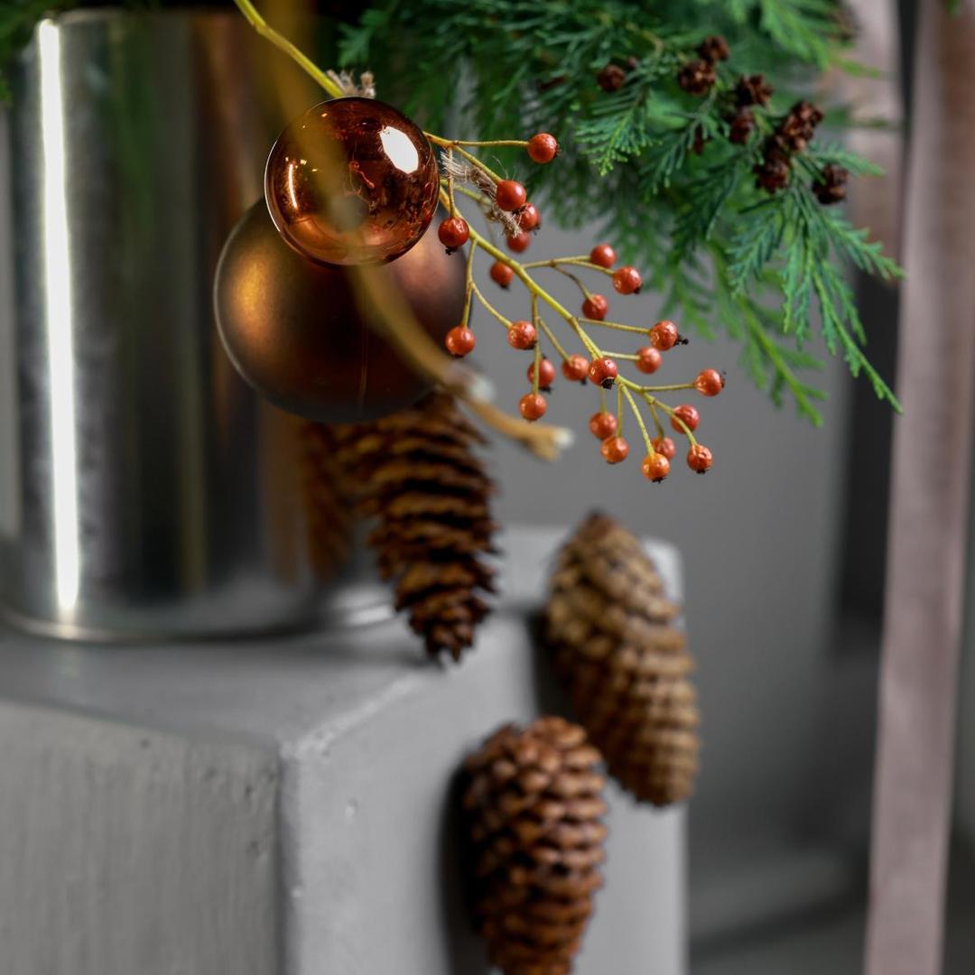 Композиция в банке Елочные шишки